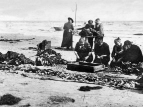 Nach dem Fang beginnt am Strand von Karlshagen das Auspuhlen.