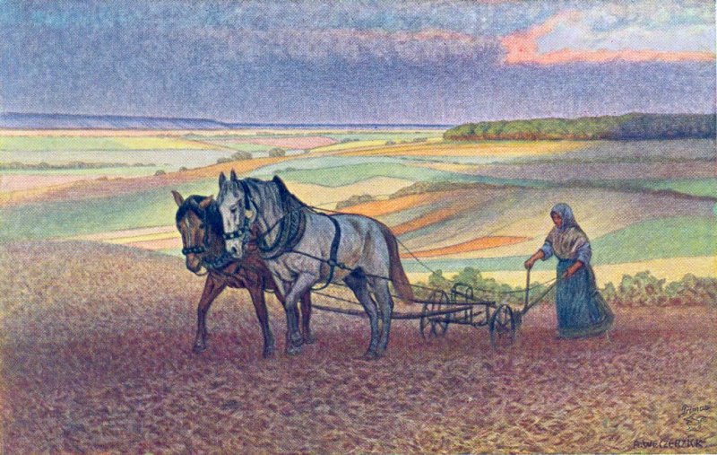 Bäuerin beim Pflügen